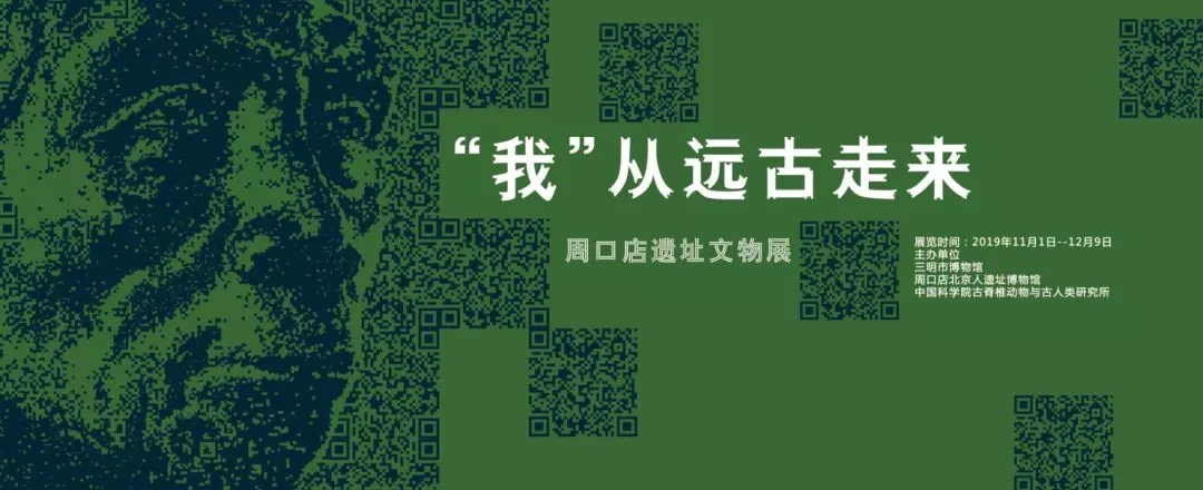 “我”從遠古走來——周口店遺址文物展